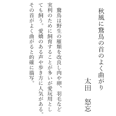 秋風に鵞鳥の首のよく曲がり　　　　太田　怒忘