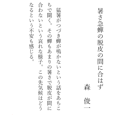 暑さ急蟬の脱皮の間に合はず　　　　森　俊一