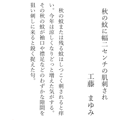 秋の蚊に幅二センチの肌刺され   工藤 まゆみ